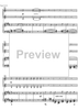 Ciaccona concertante - Score