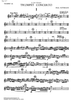 Trumpet Concerto - C Trumpet