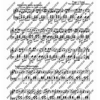 Das große Operetten-Buch für Akkordeon