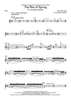 The Rite of Spring (extended version) - Flute