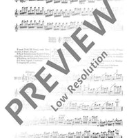 100 Technical Paraphrases on Kreutzer-Etudes