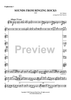 Sounds from Ringing Rocks - Euphonium 1 BC/TC