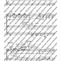 Cadenzas - Performing Score