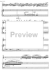 Sonata quasi una rapsodia - Score