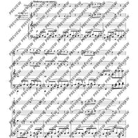 The Arrangements C-Flute(s) with Alto Flute