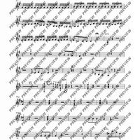 Concerto E Minor - Set of Parts