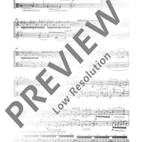 Viola Spaces for Two - Performing Score