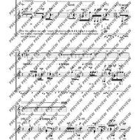 Adiantum Capillus-Veneris III (Maidenhair fern III)