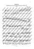 Cadenzas in C minor