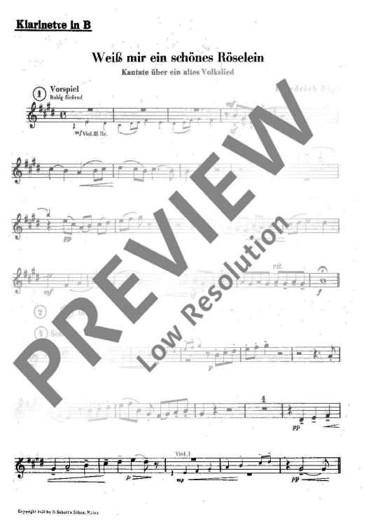 Weiß mir ein schönes Röselein - Clarinet in Bb