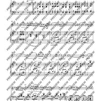 Fantasia appassionata in G minor