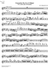 Concerto No. 5  A Major KV219 - Violin