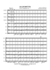 Allegretto - Score