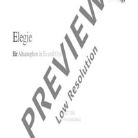 Elegie auf den Tod eines Freundes