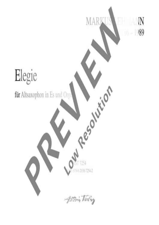 Elegie auf den Tod eines Freundes