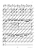Cadenza for the Brandenburg Concerto No. 3 G major by Johann Sebastian Bach - Performing Score