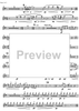 Concertante - Solo Bassoon