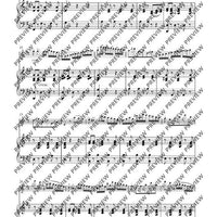 Variationen über „Nel cor più non mi sento“