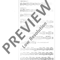 The Modern Recorder Player