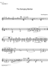 The Swinging Martian - Accordion 3