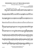 Wedding Day At Troldhaugen, Op. 65, No. 6 for Band - Bassoon 1