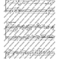 Cadenzas - Performing Score