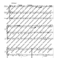 Concerto grosso E minor - Full Score