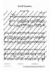12 Sonatas