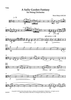 A Sally Garden Fantasy for String Orchestra - Viola