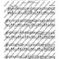 Das große Operetten-Buch für Akkordeon