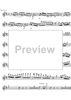 Concerto No. 4 D Major KV218 - Violin