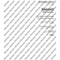 Concerto E Minor - Set of Parts