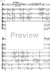 Contrabbasso concertante - Score