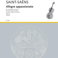 Allegro appassionato in B minor