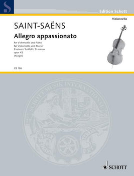 Allegro appassionato in B minor