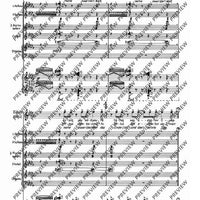 De temporum fine comoedia - Piano Reduction