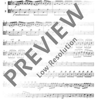 Concerto G Major - Viola