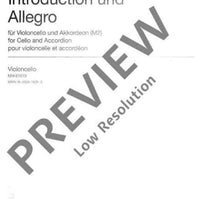 Introduction and Allegro