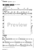 The Samba Dancer - C Instrument