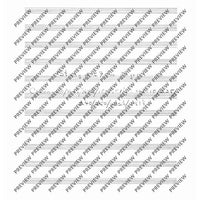 Collected Studies for Player Piano