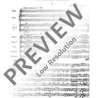 Concerto doppio - Full Score