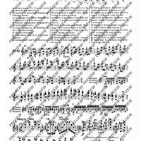 100 Technical Paraphrases on Kreutzer-Etudes