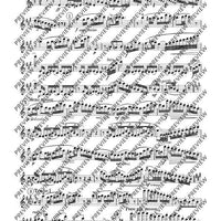 Due Divertimenti brillanti - Set of Parts