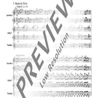 The Christmas Story - Recorder