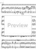 Concerto No. 2 C Major KV314 - Score