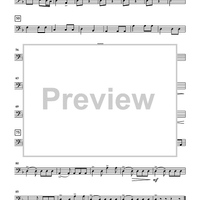 Shipwreck Beach - Bass