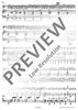 Fantaisie Rhapsodique
