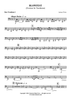 Blowfest - Bass Trombone 2