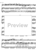Concerto No. 2 C Major KV314 - Score