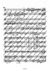 Orchestra Studies